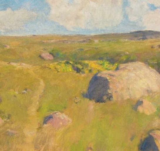 Marthas Vineyard Bluffs
