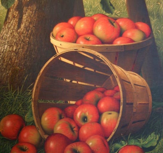 Apples