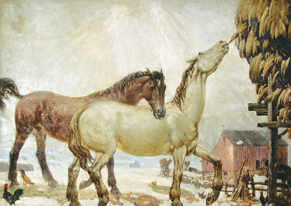 Horses Feeding