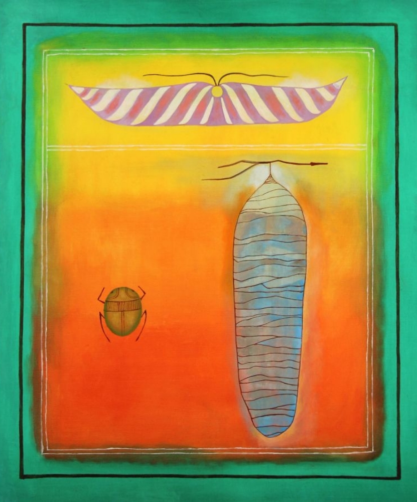 Moth Chrysalis and Scarab