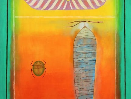 Moth Chrysalis and Scarab