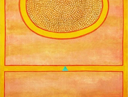 Seeds of the Universe