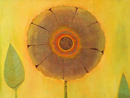 The Sunflower