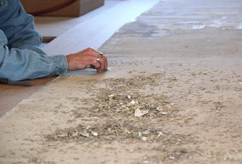 Chester County Courthouse Mural 8